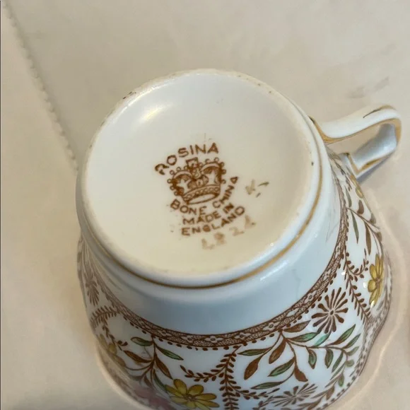 Rosina England none China Floral Teacup and Saucer Set with Gold Trim